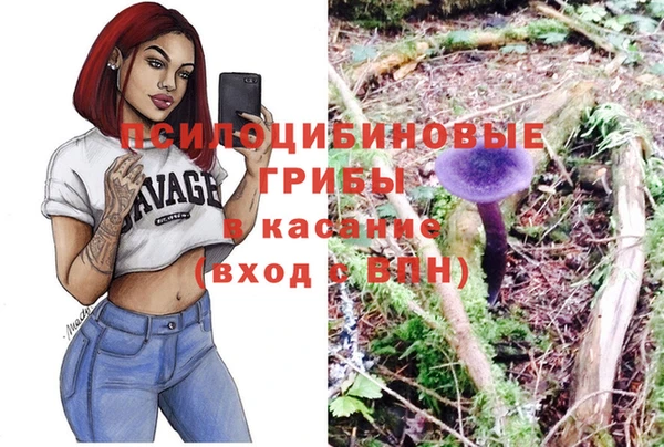 мяу мяу мука Елабуга