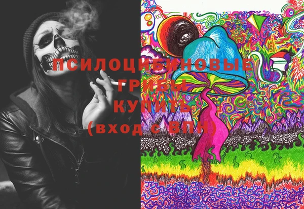 гашик Заволжск
