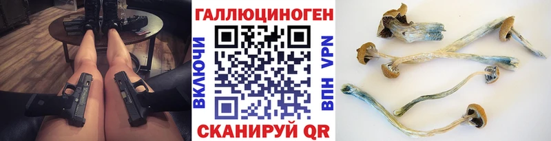 Купить закладки  Приволжский  Псилоцибиновые грибы Cubensis 